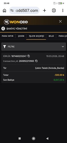 Screenshot_2026-03-19-20-48-33-266_com.android.chrome